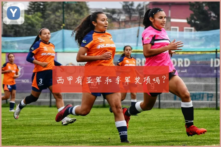 西甲有亚军和季军奖项吗？